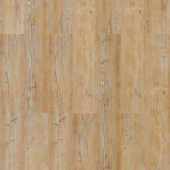 VINYL BOROVICA ARCADIAN SOYA 4V 6/33 PRESSFIT